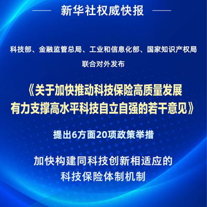 四部門聯(lián)合發(fā)力，以二十項(xiàng)舉措推動科技保險(xiǎn)高質(zhì)量發(fā)展——信息技術(shù)咨詢服務(wù)迎來新契機(jī)